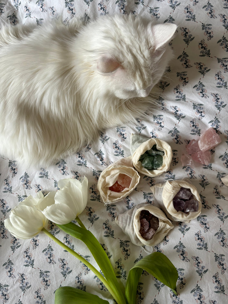 Bag of 10 crystals adapted to your needs!