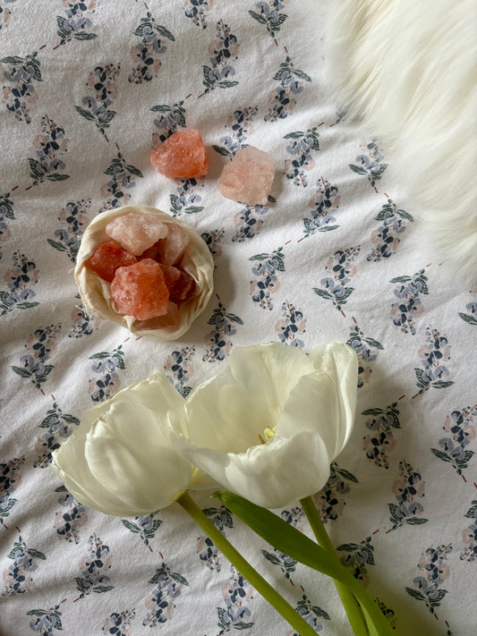 Sel de l'Himalaya brut