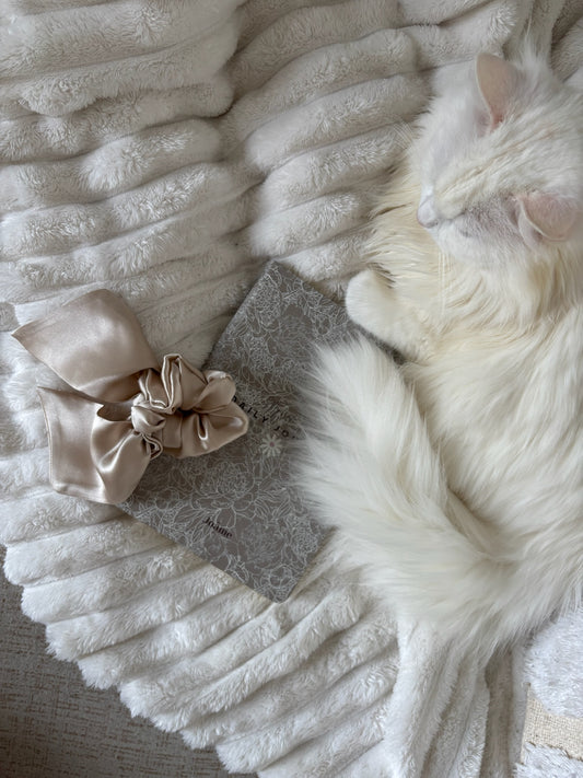 Coffret SOIE - scrunchie, masque & taie d'oreiller